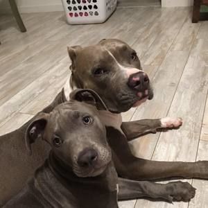 Meet your Posher, Yuko